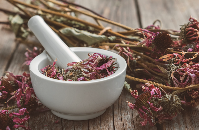 Most Powerful Medicinal Plants and Herbs