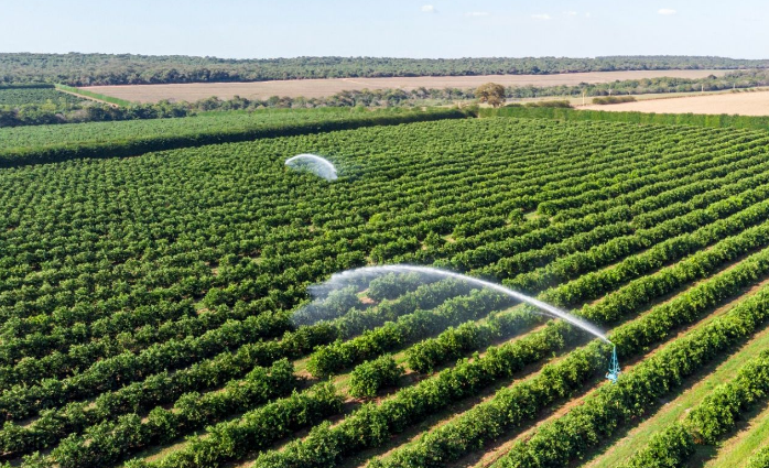 Strategies for Improving Farm Efficiency and Productivity